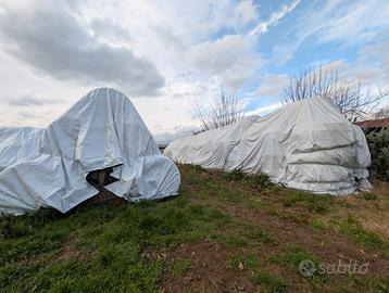 Balloni di fieno e paglia