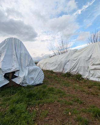 Balloni di fieno e paglia