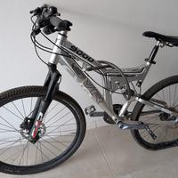 Bicicletta da ragazzo