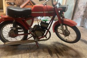 Giulietta peripoli 50