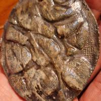 ciondalo collana artemidatre