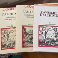 L’alchimia cofanetto con 2 volumi