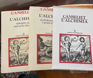 L’alchimia cofanetto con 2 volumi