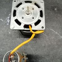 Motore per echo a nastro SEMPRINI