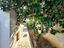 Immagine 19