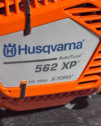 Motosega