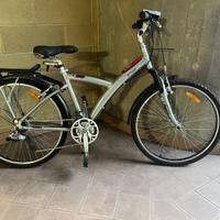 Bicicletta donna/ragazza