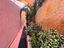 Immagine 21
