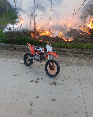 Pit bike zeus