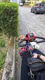 Scooter elettrico anziani disabili Vicenza plus