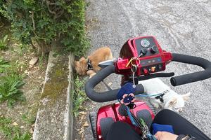 Scooter elettrico anziani disabili Vicenza plus