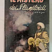 IL MISTERO DEI PLANETOIDI - I LIBRI DEL 2000 AMZ 6