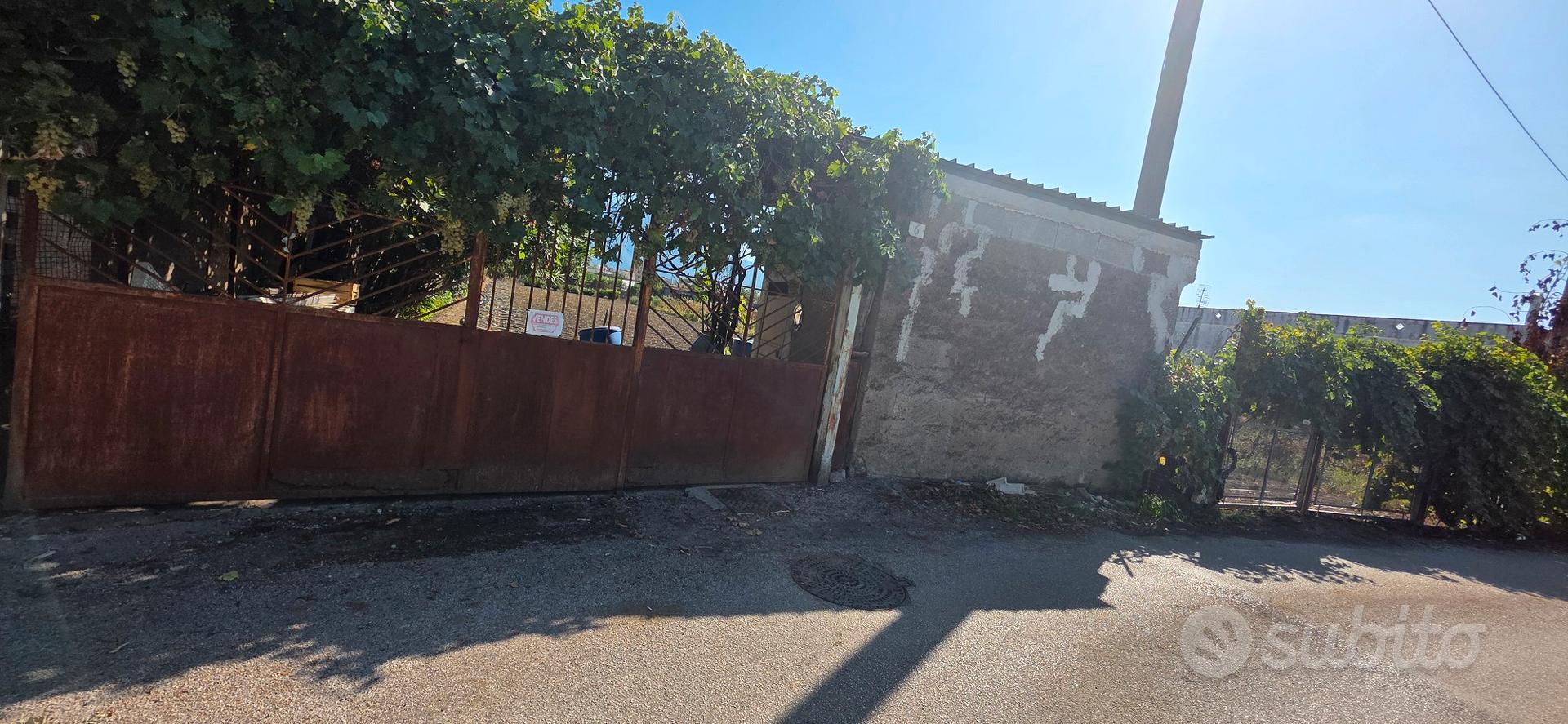 terreno agricolo - Vista 3