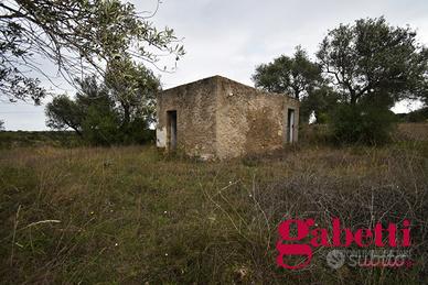 Terreno Agricolo Sorso [cod. rif6000745VRG]