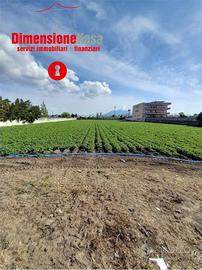 Terreno di 2870 m² a Nola