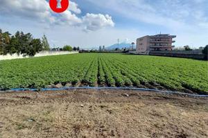 Terreno di 2870 m² a Nola