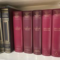 Enciclopedia Treccani !TRATTABILE