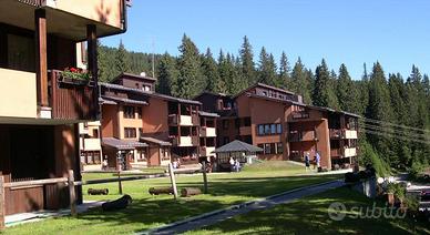 Vacanza a Madonna di Campiglio