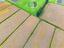 Immagine 14