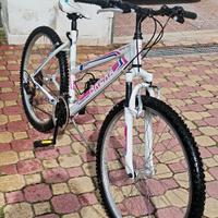 Mountain bike Brera