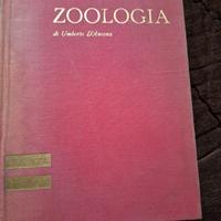 zoologia 