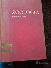 zoologia 