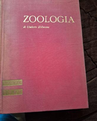 zoologia 