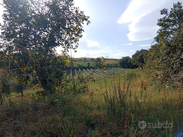 Vendita casa e'terreno