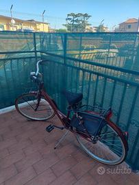 Bicicletta da donna Holland