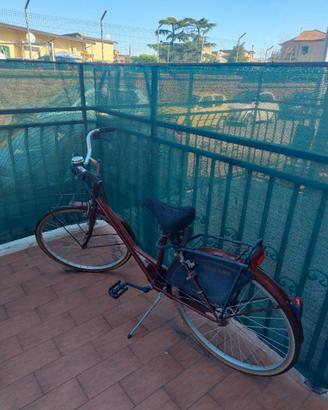 Bicicletta da donna Holland