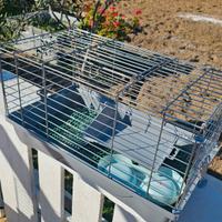 Gabbia per conigli o altri animali 