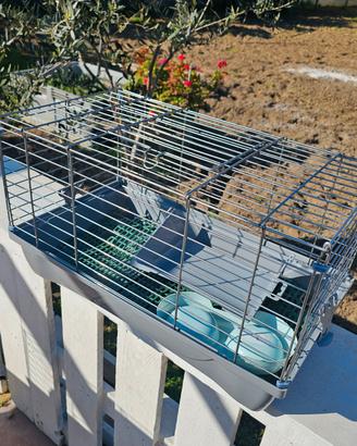 Gabbia per conigli o altri animali 