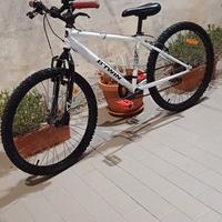 Bici da 24