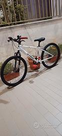 Bici da 24