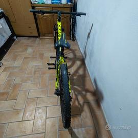 bicicletta