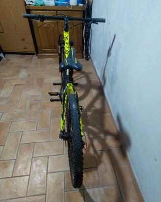 bicicletta
