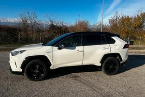 Toyota Rav 4 Style
