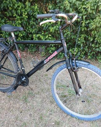 Bici montain bike