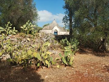 Trullo con terreno