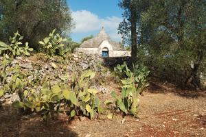 Trullo con terreno