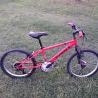 mountain bike da bambino da 20