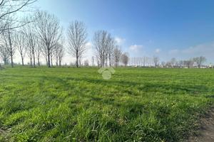 TER. AGRICOLO A VAIANO CREMASCO