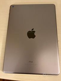 Apple iPad (6th Generation)