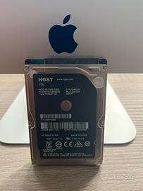 Hard disc apple Imac interno