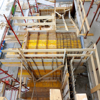 Carpentiere ferraiolo specializzato
