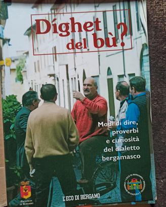 dighet del bu