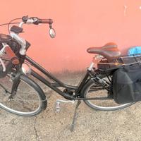 Bici alpina