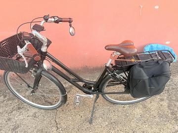 Bici alpina