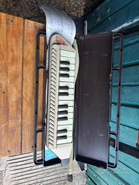 Diamonica Bontempi III Vintage con Custodia Tubo