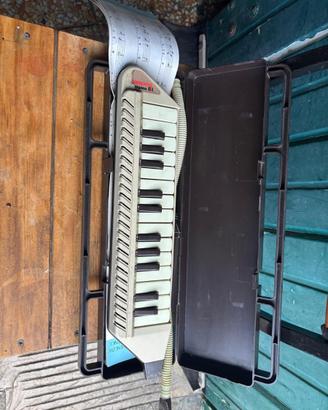 Diamonica Bontempi III Vintage con Custodia Tubo